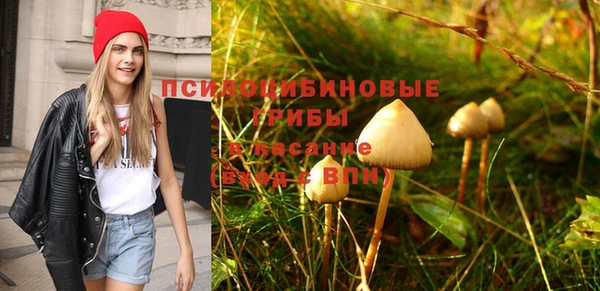МДПВ Нефтекумск