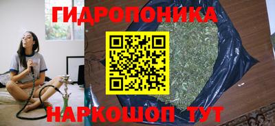 apvp Ипатово