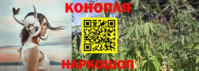 apvp Ипатово