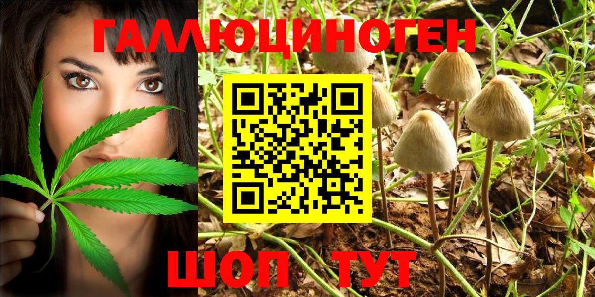 Иркутск  Галлюциногенные грибы Magic Shrooms  Вход с VPN  Псилоцибиновые грибы MAGIC MUSHROOMS 
