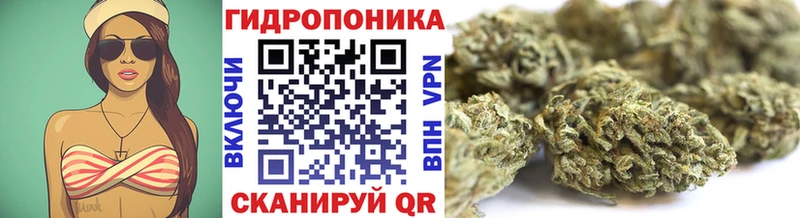 OMG маркетплейс  Иркутск  Бошки Шишки гибрид 